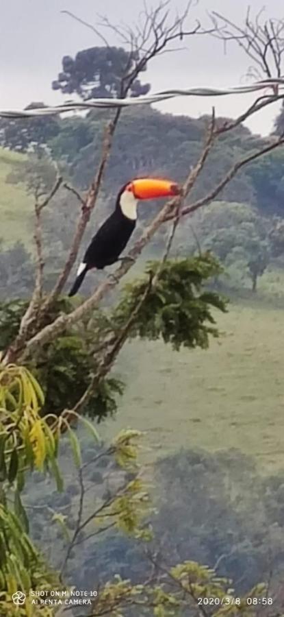 Chalés Terras Altas Gonçalves Esterno foto